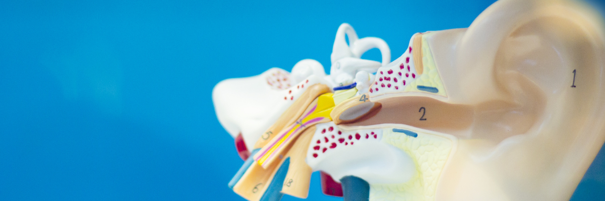 El papel de la fisioterapia en la recuperación de episodios de pérdida auditiva asociados al Síndrome de Ménière